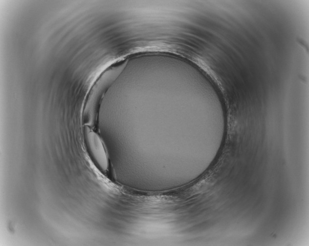 X0000099380988200805291125