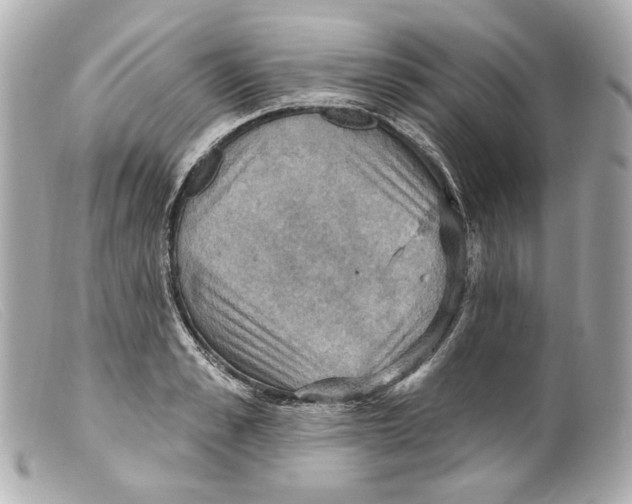 X0000099380989200805291125