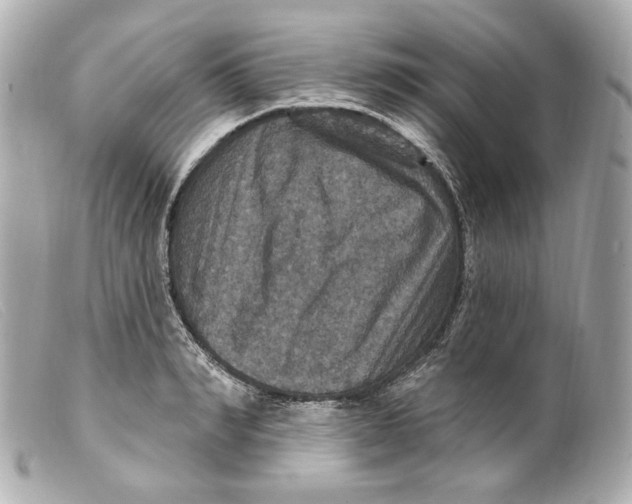 X0000099380990200805291125