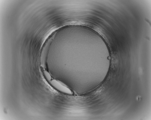 X0000099380992200805291125