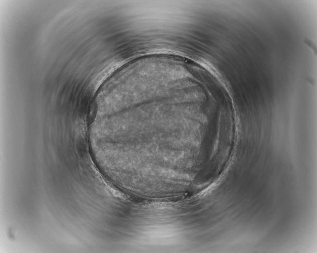 X0000099380993200805291125