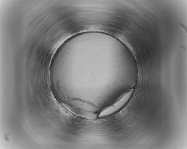 X0000099380996200805291125