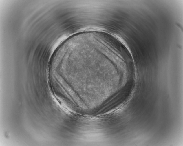 X0000099380997200805291124