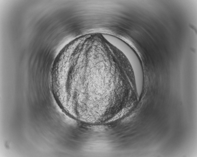 X0000099380999200805291124