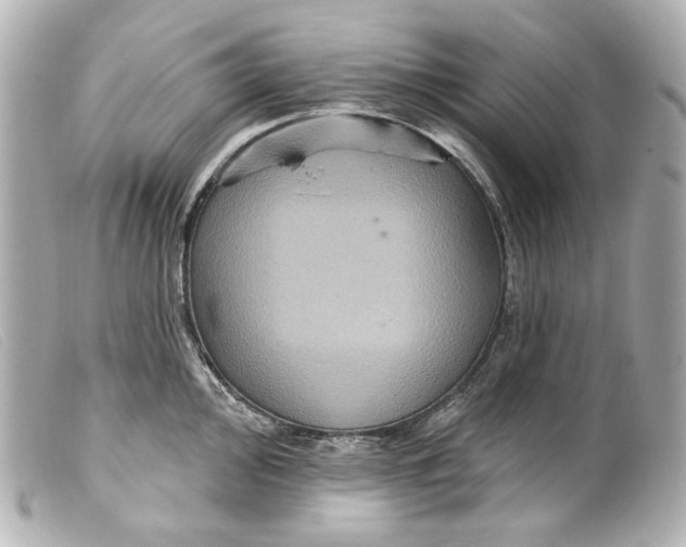 X0000099381000200805291124