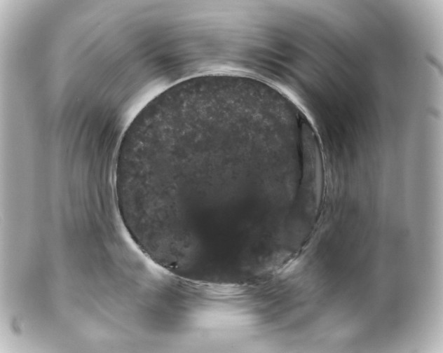 X0000099381007200805291124