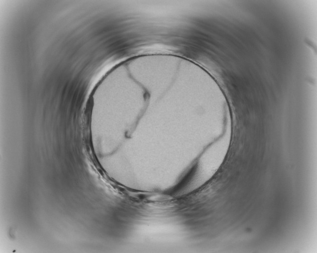 X0000099381008200805291124