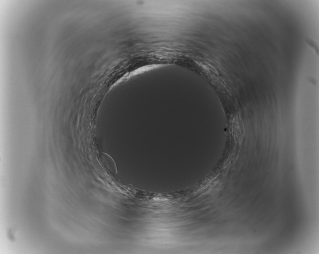 X0000099381009200805291124