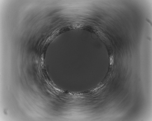 X0000099381011200805291124