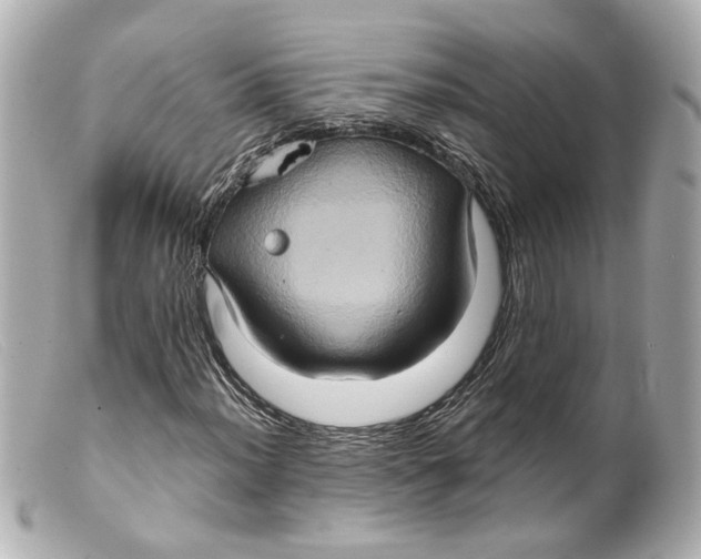 X0000099381012200805291124