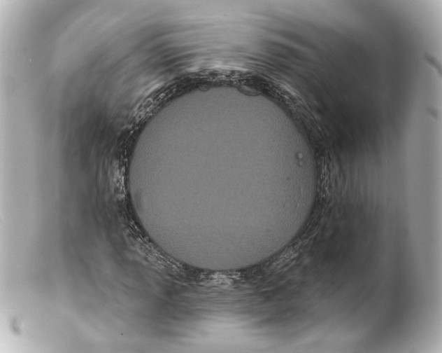 X0000099381013200805291124