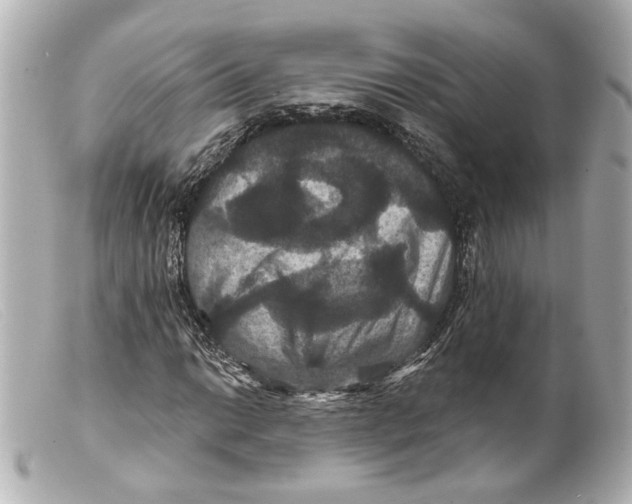 X0000099381014200805291124