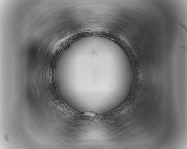 X0000099381016200805291124