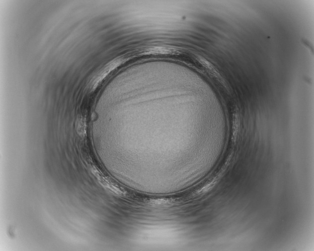 X0000099381017200805291124