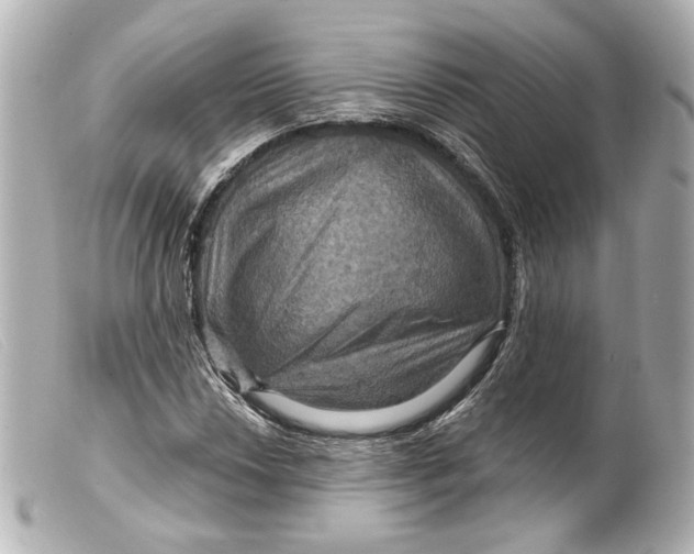 X0000099381018200805291124