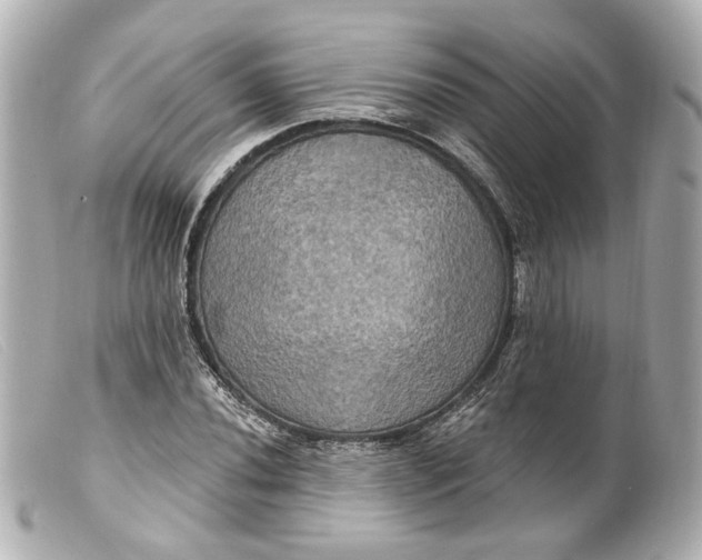 X0000099381020200805291124