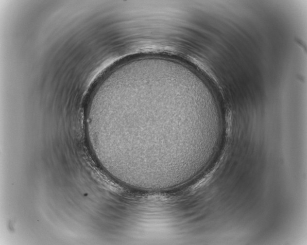 X0000099381021200805291124