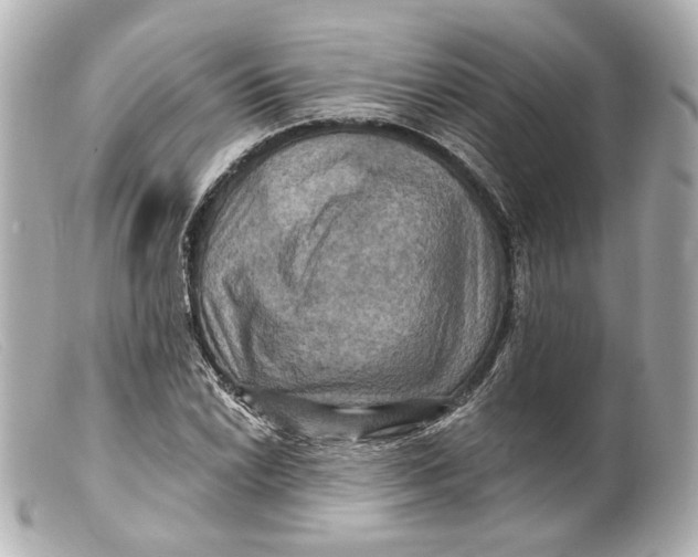 X0000099381022200805291124