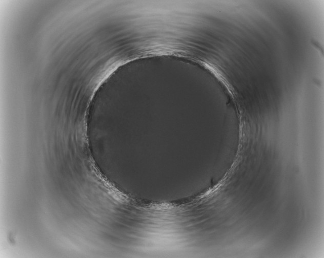 X0000099381023200805291124