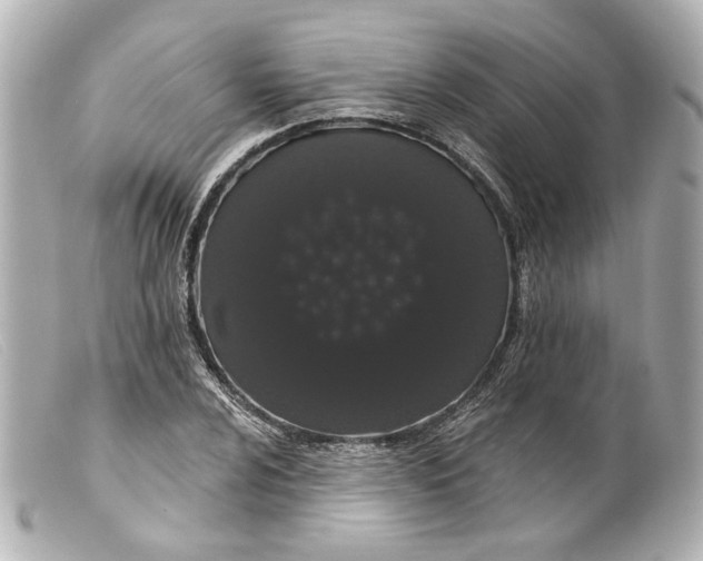 X0000099381024200805291124