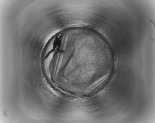 X0000099381026200805291124