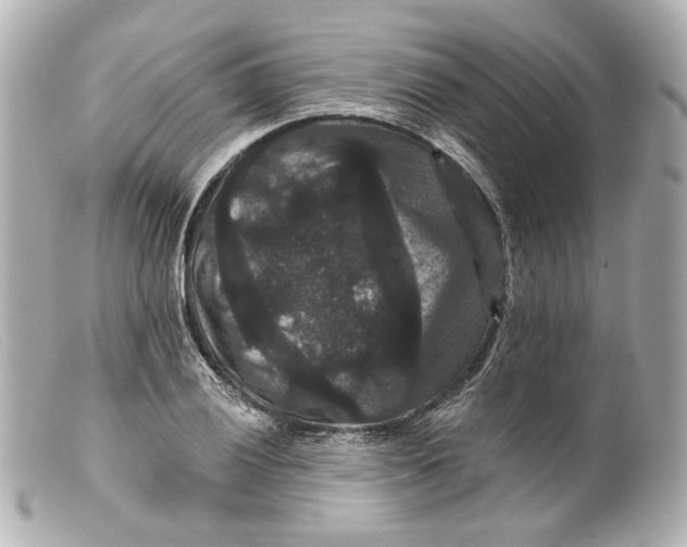 X0000099381028200805291124