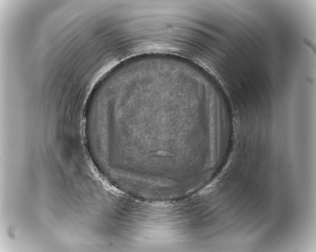 X0000099381029200805291124