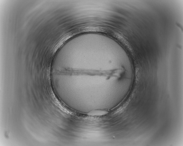 X0000099381033200805291124