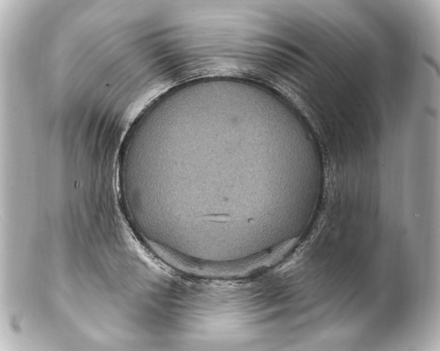 X0000099381034200805291124