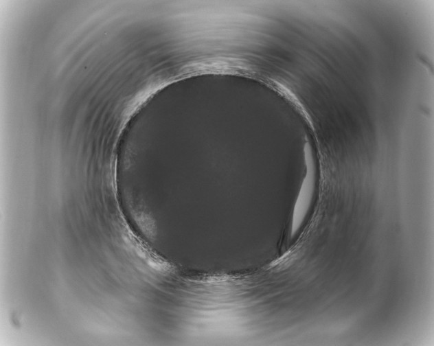 X0000099381035200805291124