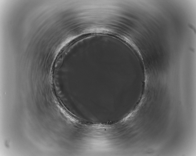 X0000099381037200805291124