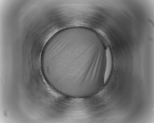 X0000099381039200805291124