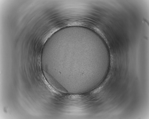 X0000099381041200805291124