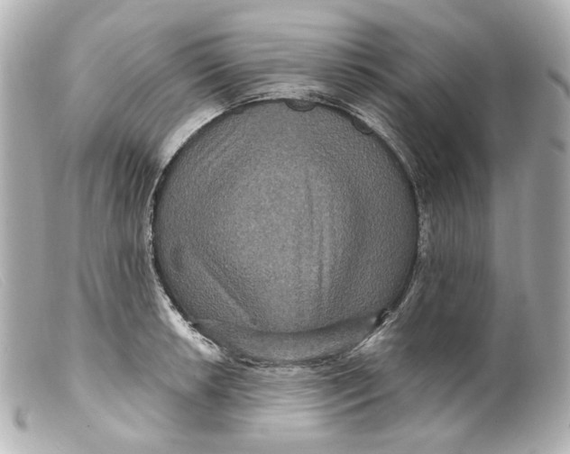 X0000099381042200805291124