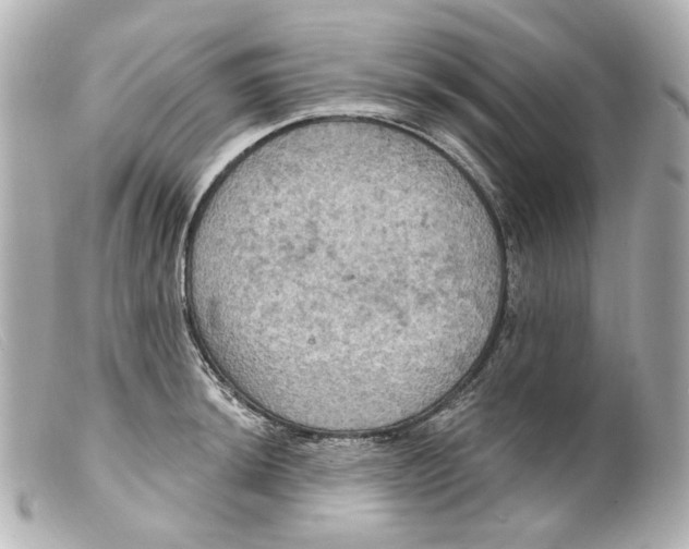 X0000099381044200805291124