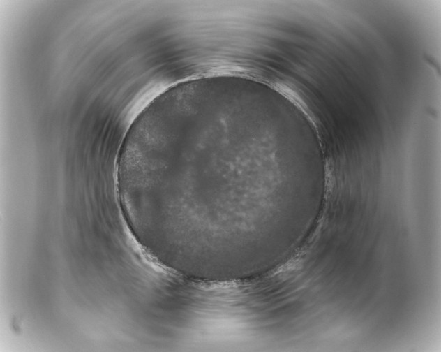 X0000099381047200805291124