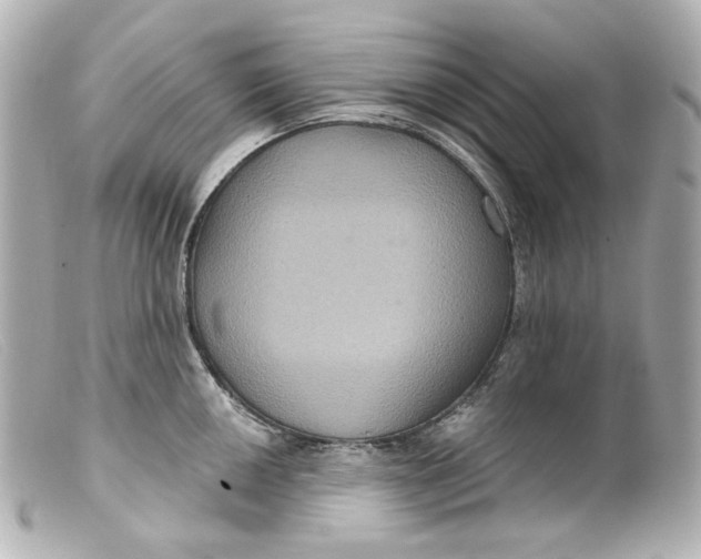 X0000099381050200805291124