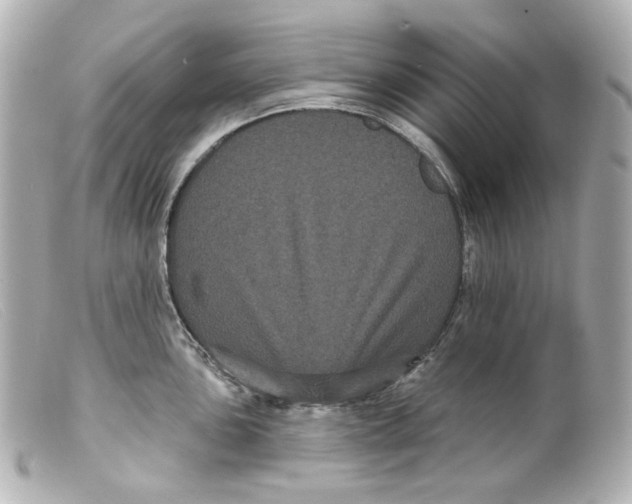 X0000099381051200805291124