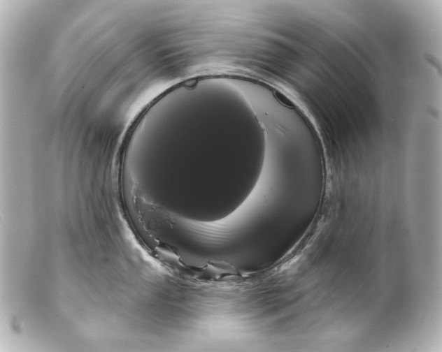 X0000099381053200805291124