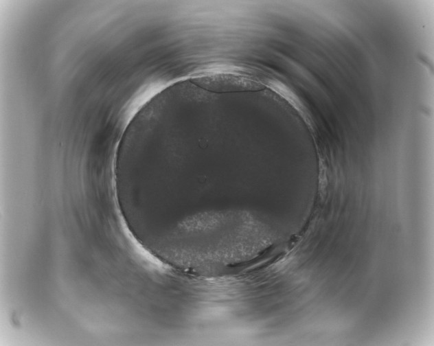 X0000099381055200805291124