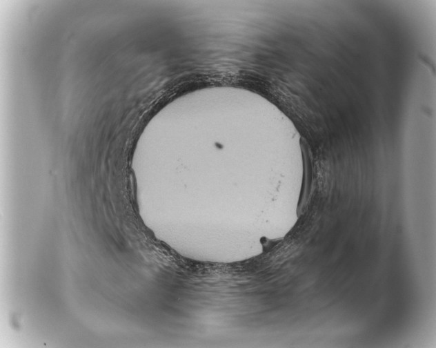 X0000099381057200805291124