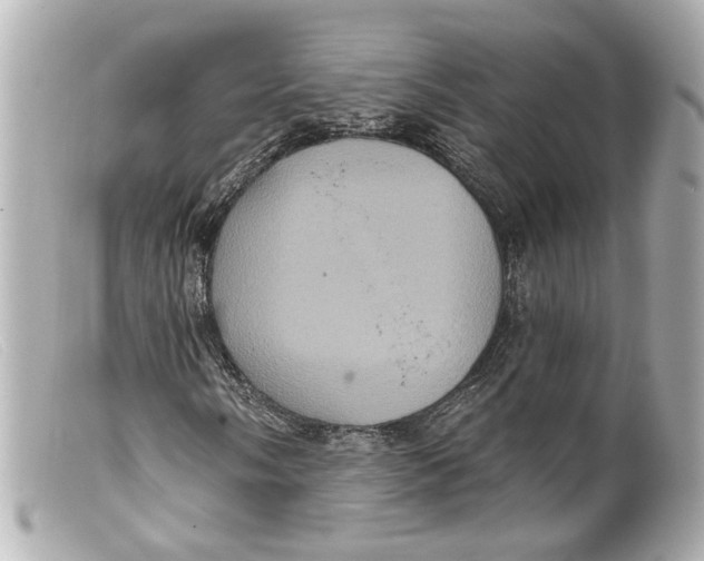 X0000099381058200805291124