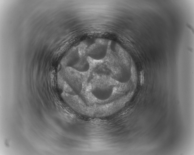 X0000099381059200805291124