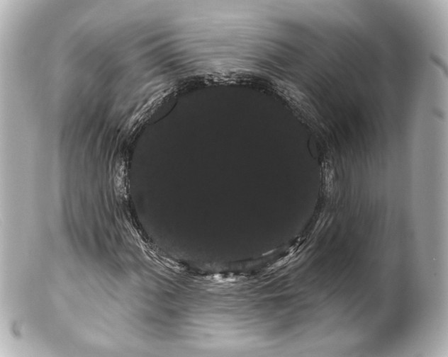 X0000099381060200805291124