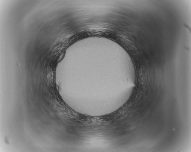 X0000099381061200805291124