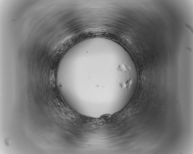 X0000099381062200805291124