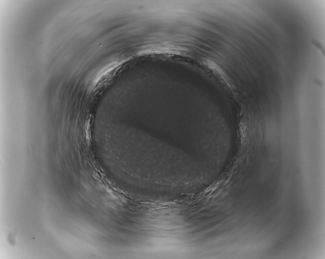 X0000099381064200805291124