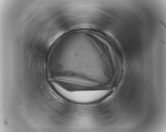 X0000099381065200805291124