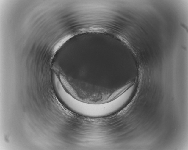 X0000099381066200805291124