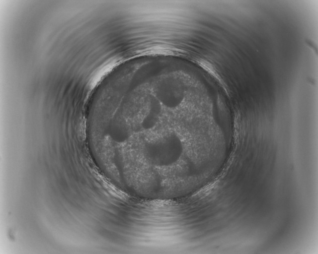 X0000099381067200805291124